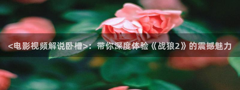 新闻图片