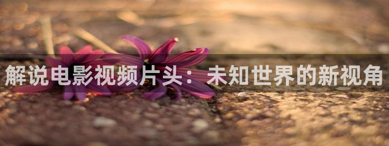 新闻图片